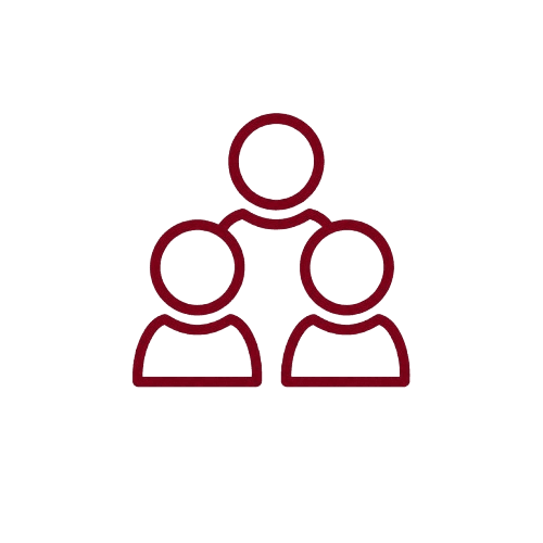 Expert Faculty